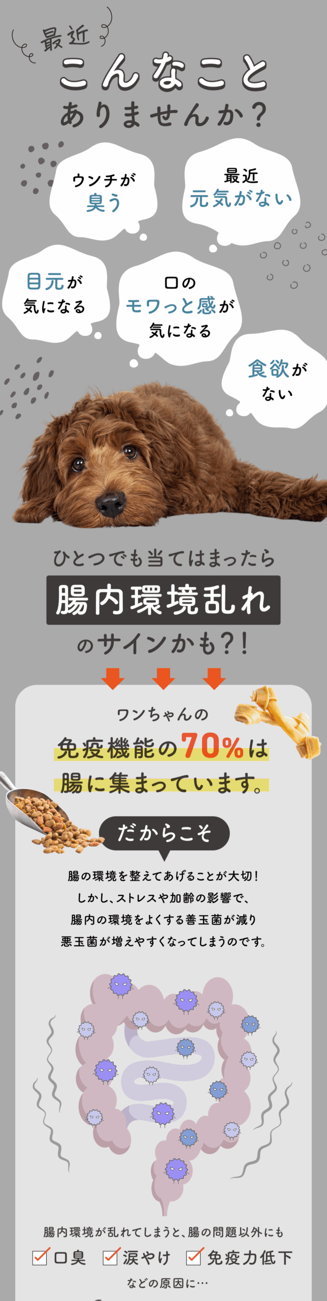 腸活ピューレ イメージ3