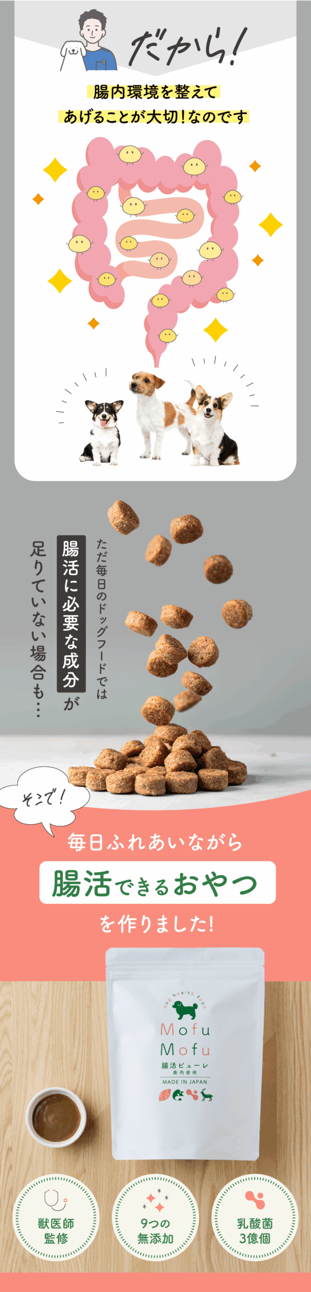 腸活ピューレ イメージ4