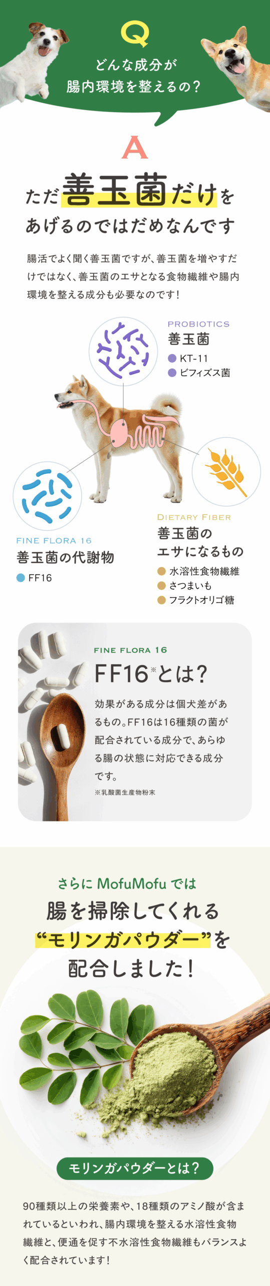 腸活ピューレ イメージ5