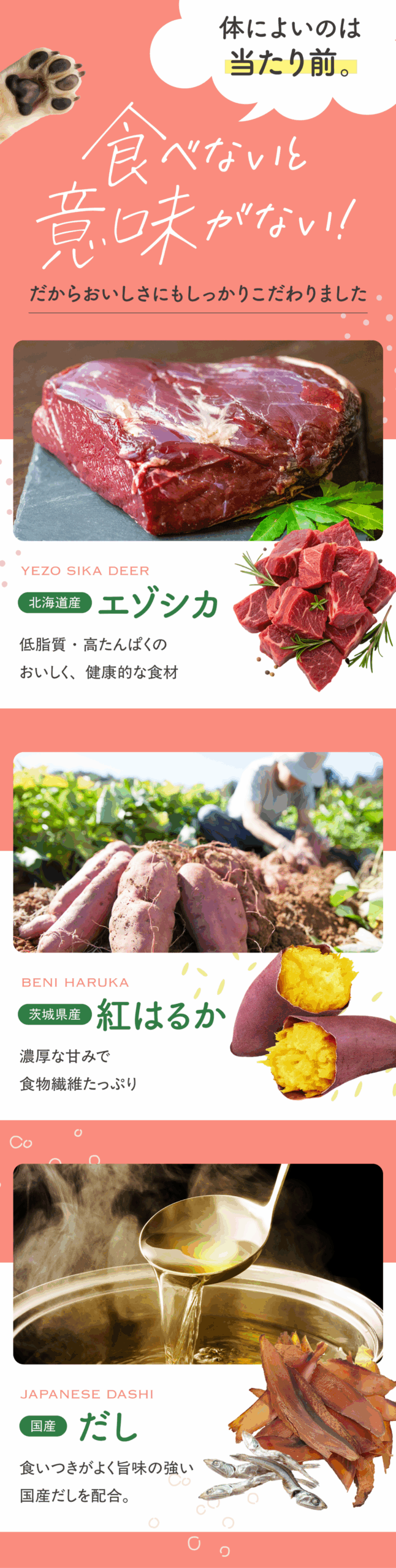 腸活ピューレ イメージ6