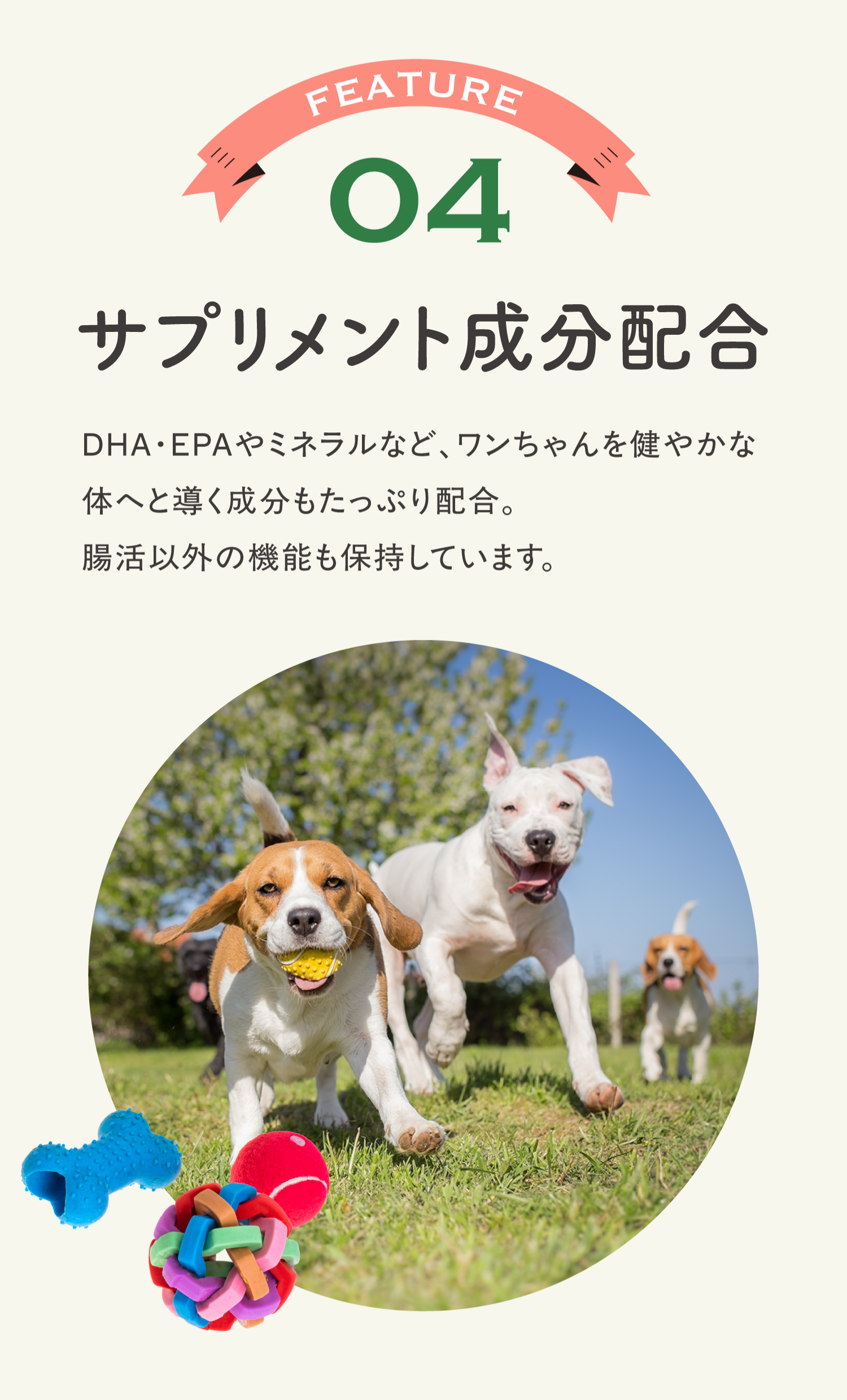 腸活ピューレ イメージ8