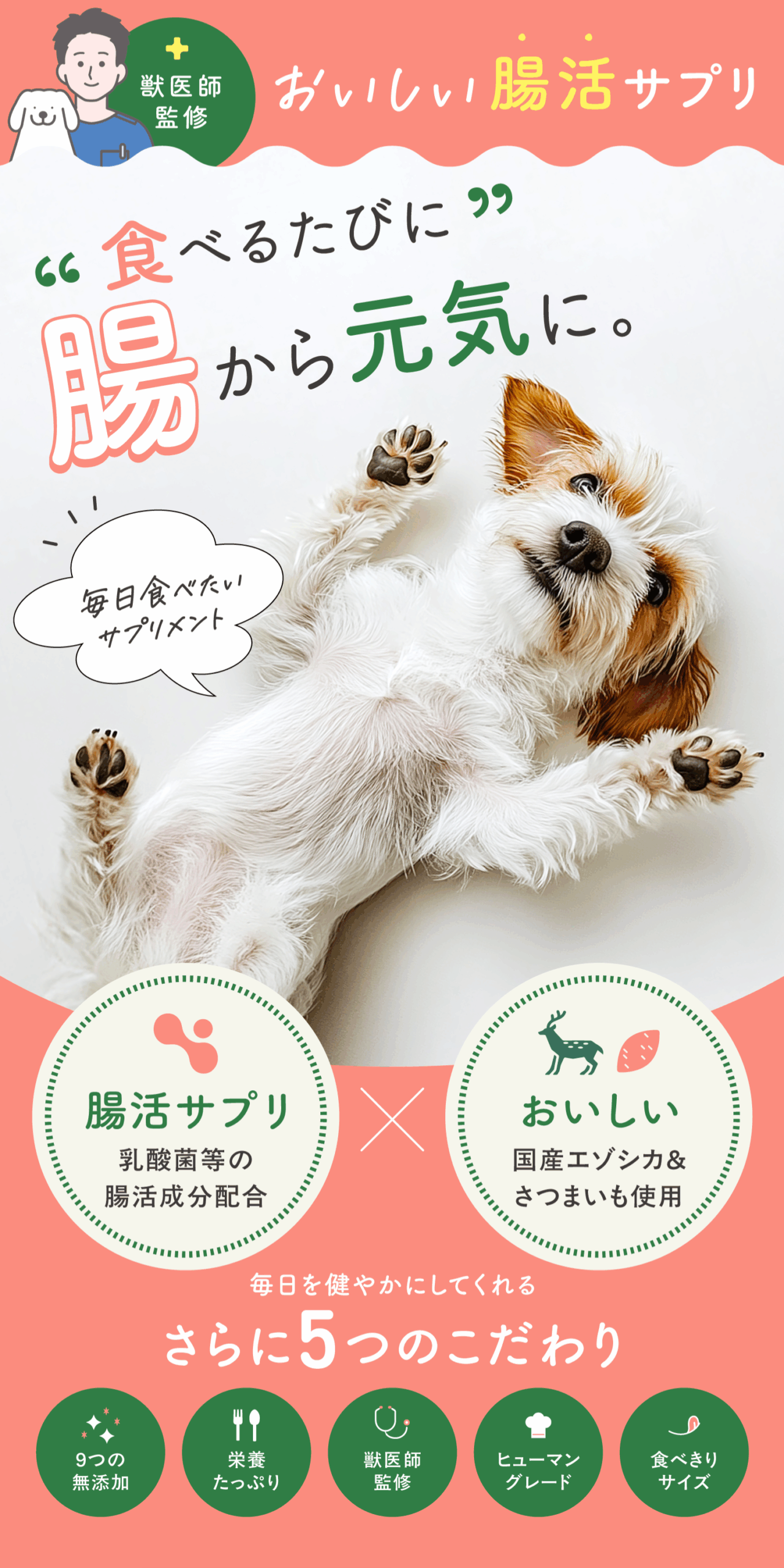 腸活ピューレ イメージ0